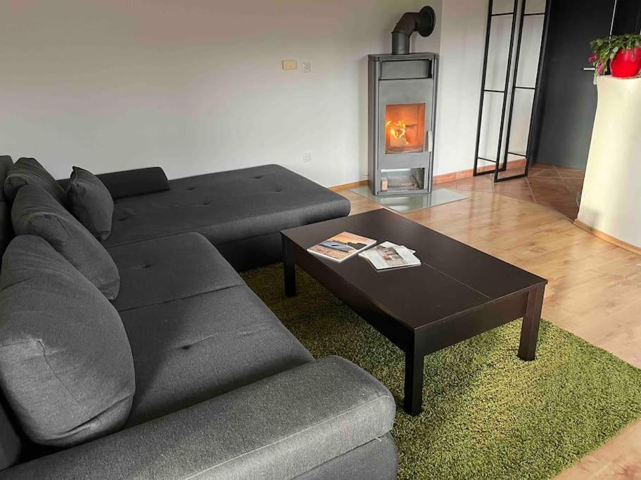 Wohnung Mitten Im Salzkammergut Ohlsdorf Zewnętrze zdjęcie